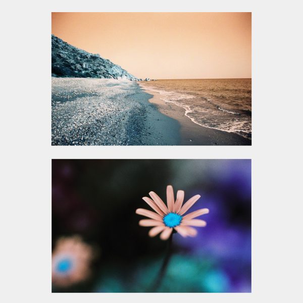 Lomochrome Turquoise ISO 100-400 35mm Film (36 Exposures) Discount - Image 3